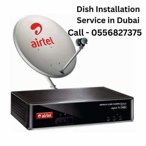 Looking for the best dish installation service in Dubai